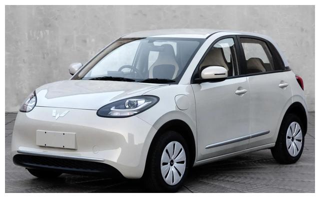 五菱新款纯电动车型即将销售, 预计6.98万起, 外观时尚大气